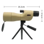 nf 00009924 2
