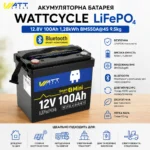 wt12v100ah100minibt